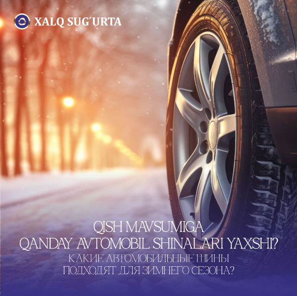 Какие автомобильные шины подходят для зимнего сезона?
